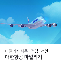 [기획전] 대한항공 마일리지 추가적립전환