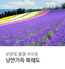 [기획전] 2025 북해도 전세기 기획전