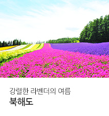 [기획전] 북해도 진에어 기획전