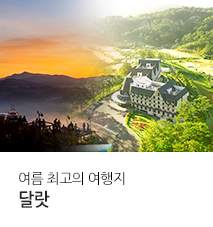 [기획전] 달랏 전세기 2025